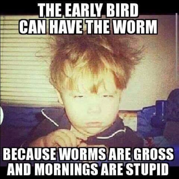 Meet your Posher, Tim - Picture 1 of 1